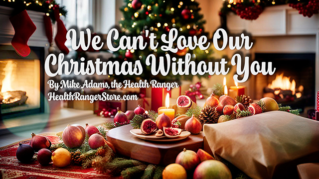We Can't Love Our Christmas Without You (2024)